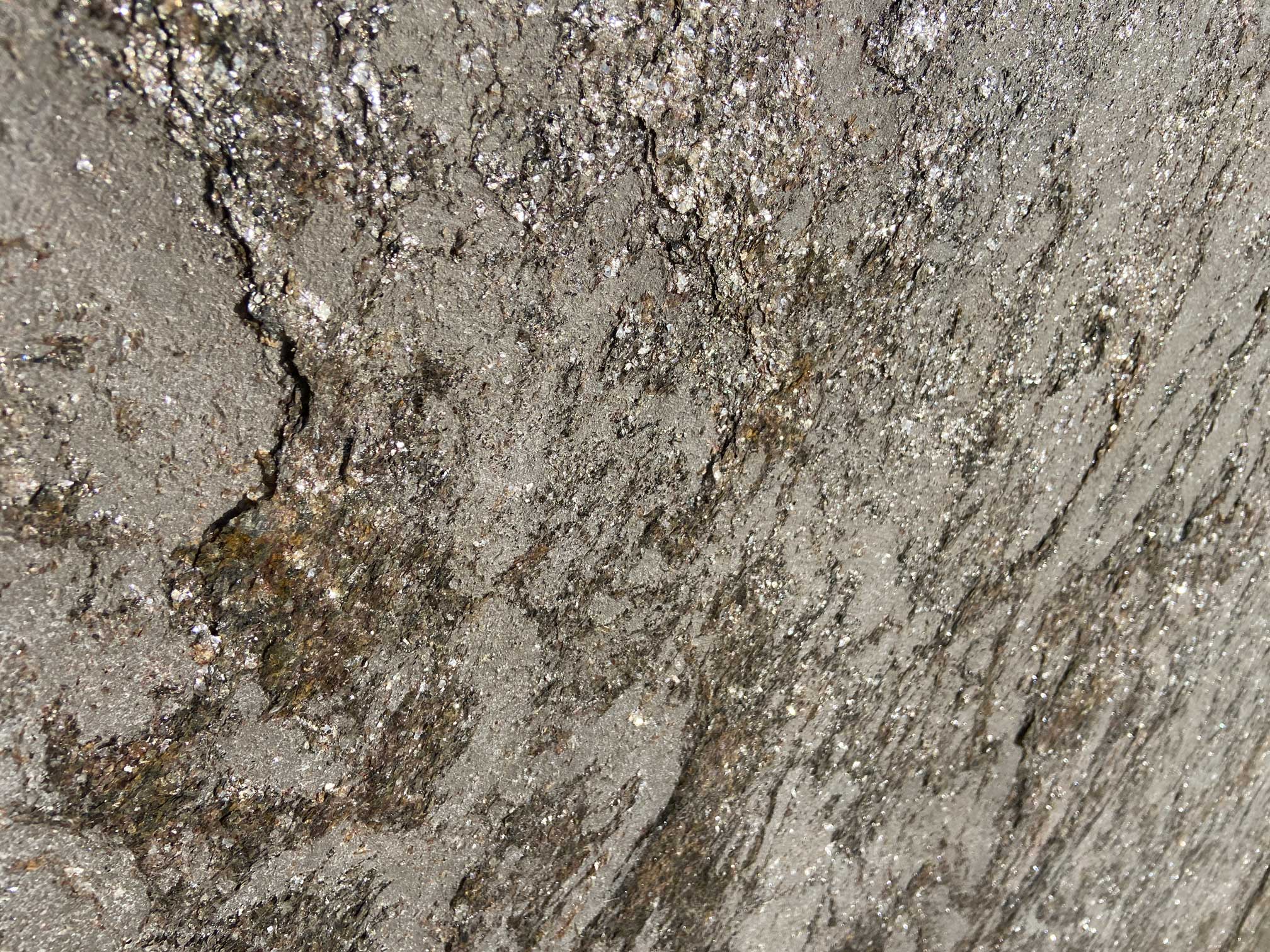 kamien-elewacyjny-ozdobny-chicago-summer