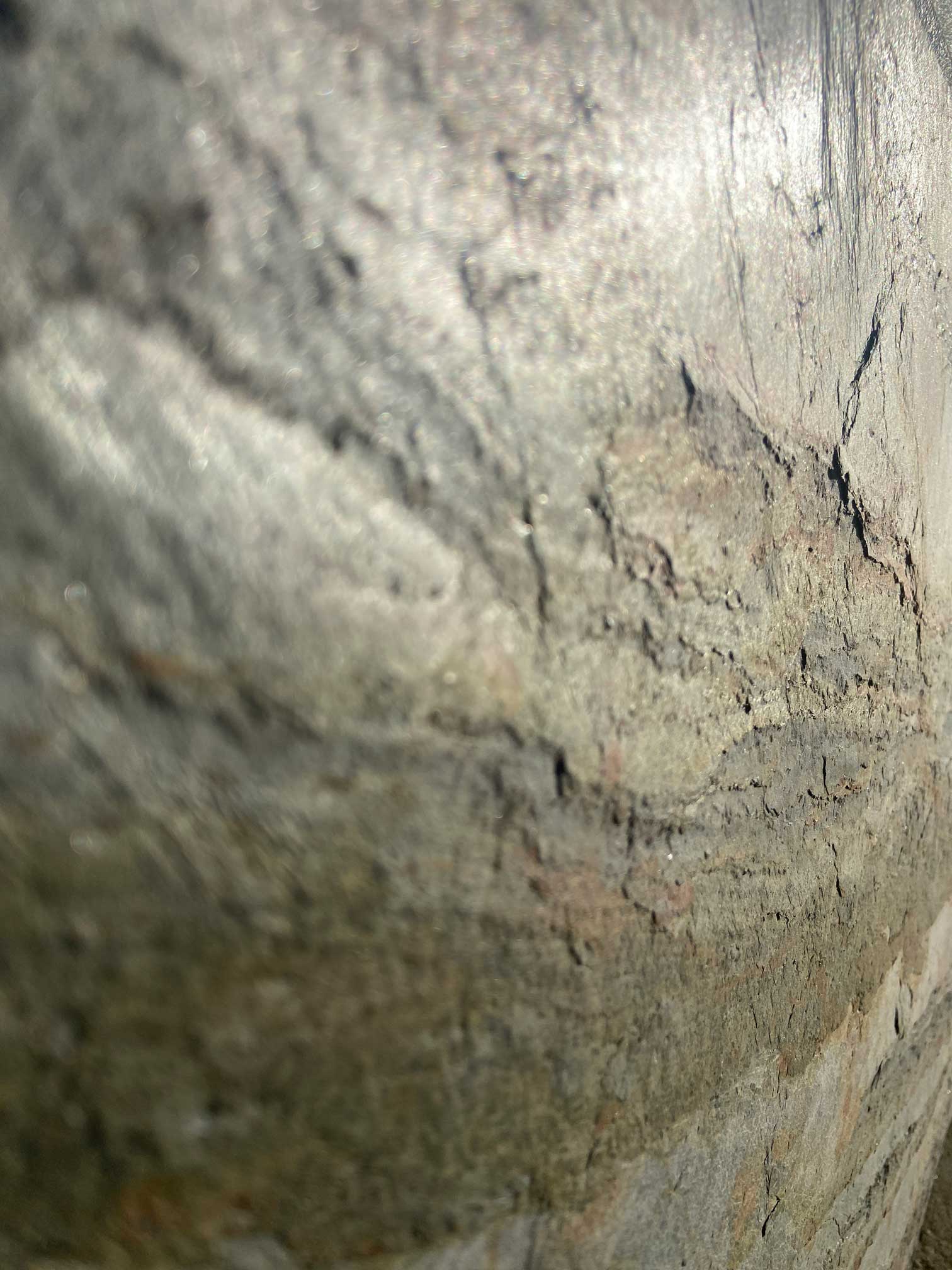 kamien-elewacyjny-ozdobny-forest-fire