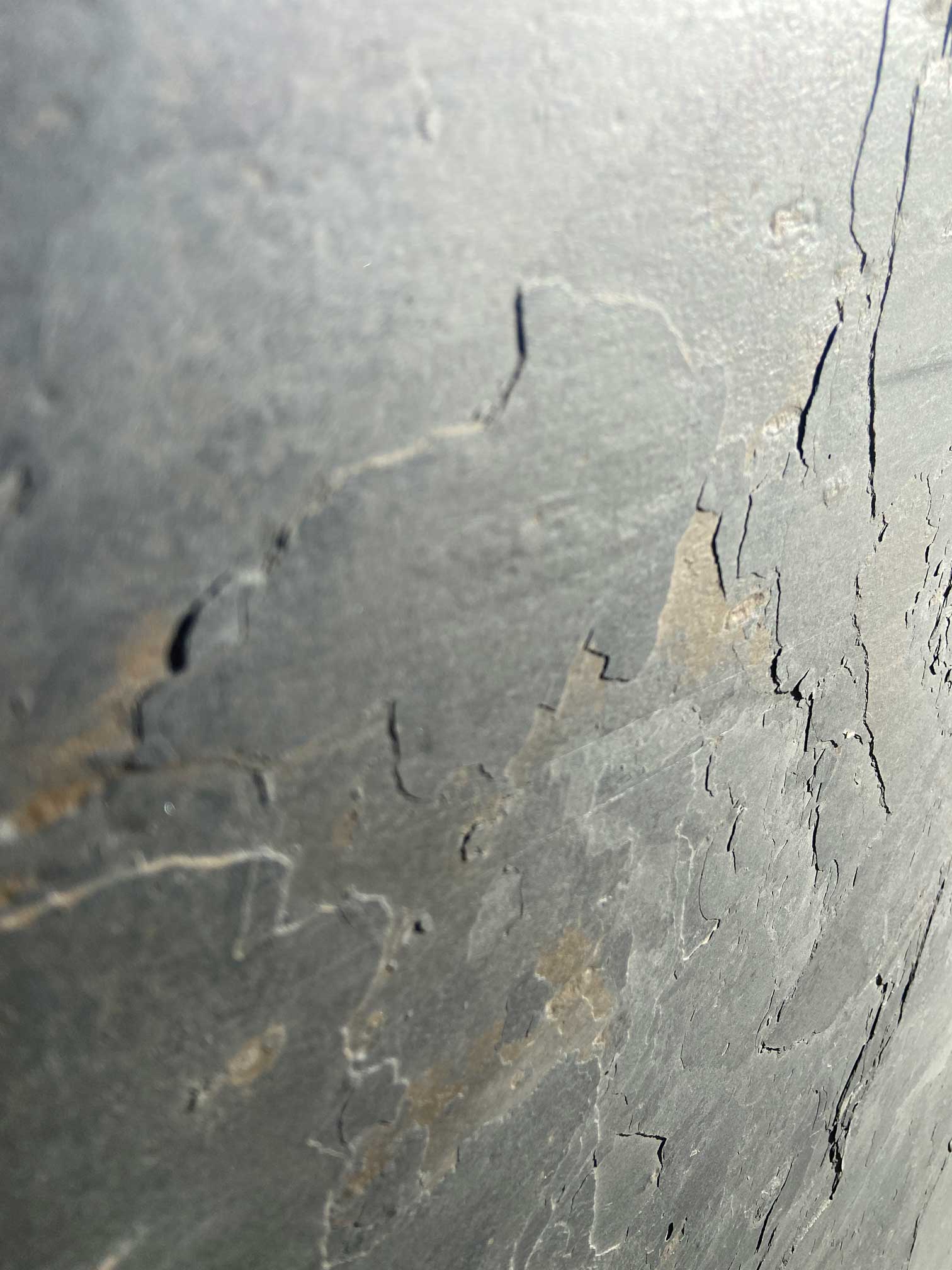 kamien-elewacyjny-ozdobny-grey-beauty