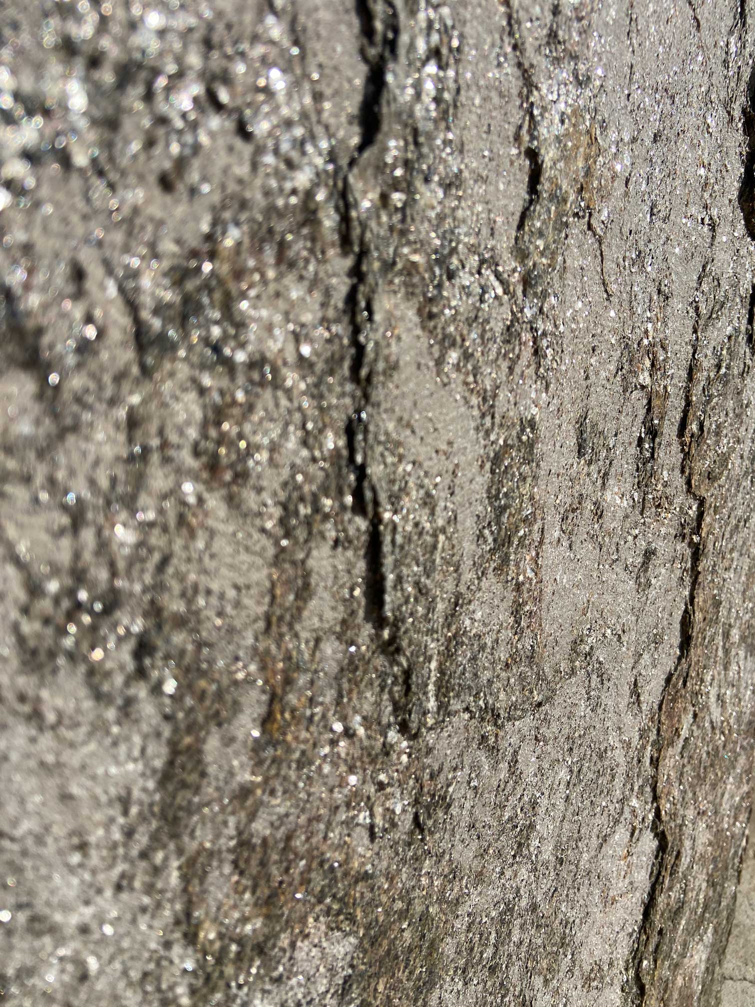 kamien-ozdobny-elewacyjny-chicago-summer