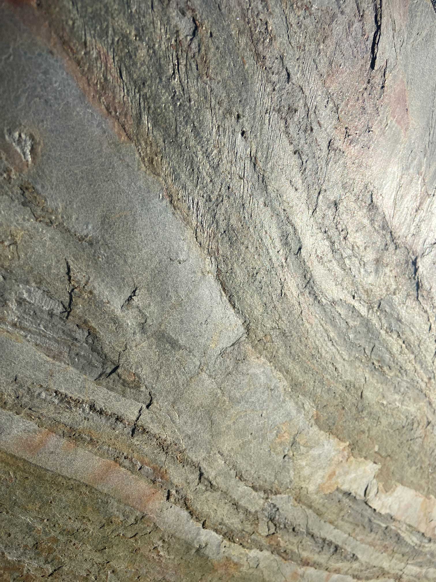 kamien-ozdobny-elewacyjny-forest-fire