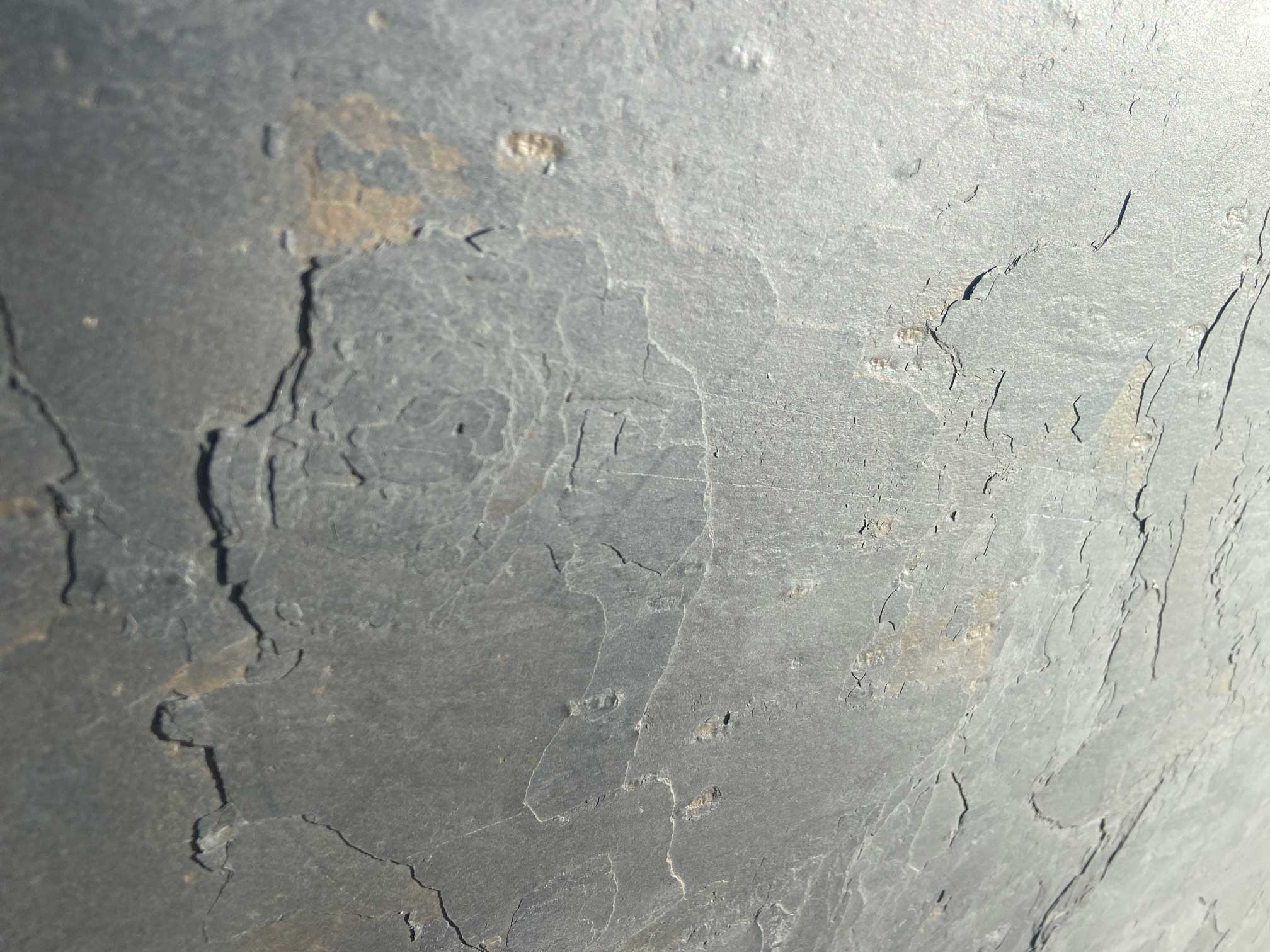 kamien-ozdobny-elewacyjny-grey-beauty