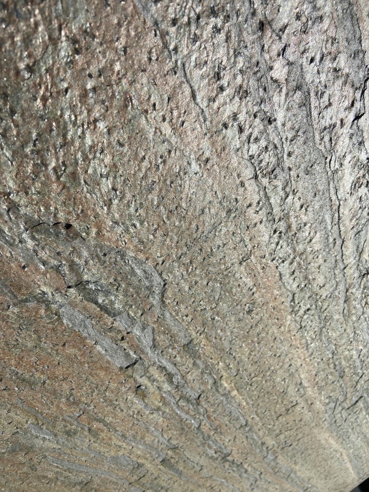 kamien-dekoracyjny-zeera-green-swietokrzyskie