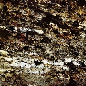 BURNING FOREST TRANSPARENTNY