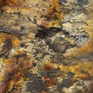 INDIAN AUTUMN TRANSPARENTNY