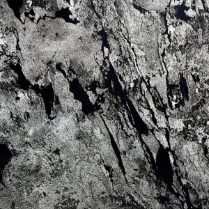 PREMIUM BLACK TRANSPARENTNY